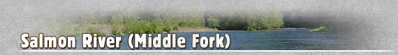 Middle Fork of the Salmon River