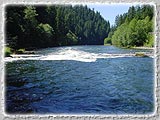 A photograph of a small set of rapids on the Willamette.