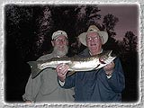 Bill & Dave with a 7lb. Steelhead caught on a dry fly on the McKenzie on Aug. 6, 2003.